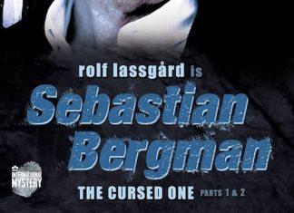 Sebastian Bergman (Série TV) sebastian-bergman