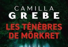 Camilla Grebe : Les ténèbres de Mörkret Camilla Grebe : Les ténèbres de Mörkret